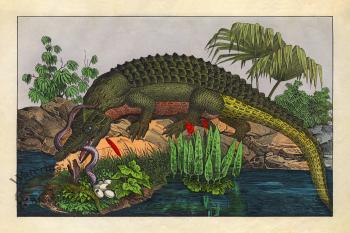 Schubert Reptiles Gator 1854
